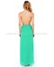 Rooftop Garden Backless Maxi Dress